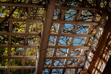 Similar image 22585492