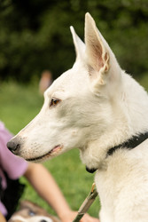 Similar image 22593213