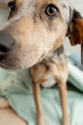 Similar image 22593229