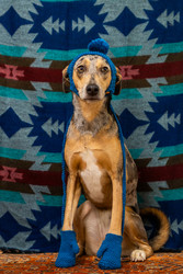 Similar image 22593241