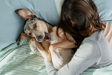 Similar image 22593243