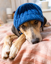 Similar image 22593244