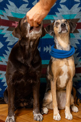 Similar image 22593265