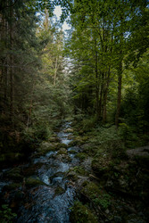 Similar image 22586747