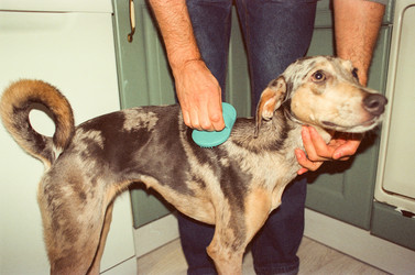 Similar image 22593285