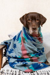 Similar image 22593286