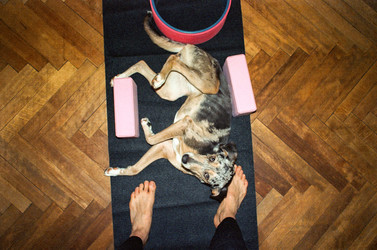 Similar image 22593345