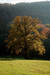 Similar image 22589917