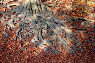 Similar image 22589932