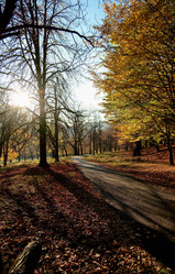 Similar image 22589933