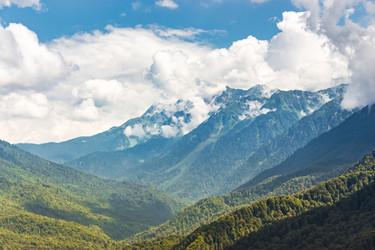 Similar image 22494271