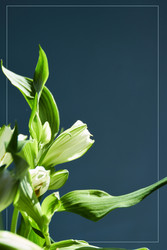 Similar image 22488136