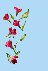 Similar image 22488137