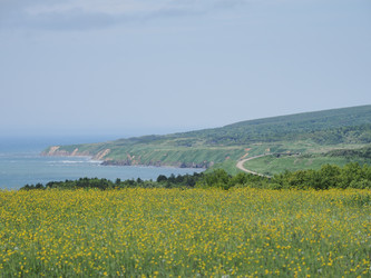 Similar image 22581988