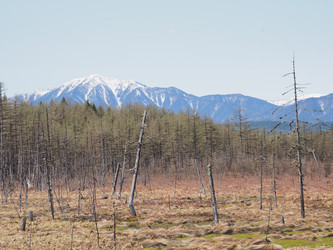 Similar image 22585321