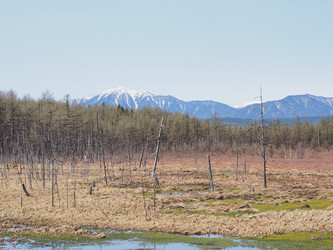 Similar image 22585322