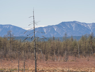 Similar image 22585324