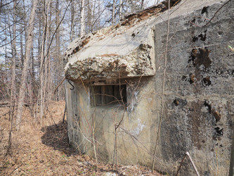 Similar image 22520702