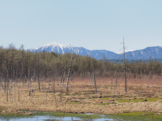 Similar image 22585325