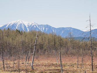 Similar image 22585368