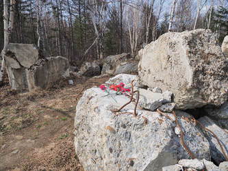 Similar image 22520719