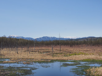 Similar image 22585377