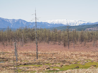 Similar image 22585378