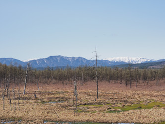 Similar image 22585379