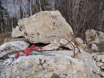 Similar image 22520734