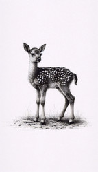 Similar image 22552229