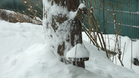 Similar image 22488109