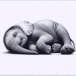 Similar image 22554012