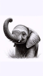 Similar image 22510879