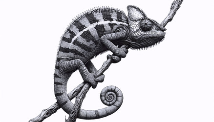 Similar image 22511447