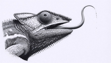 Similar image 22512296