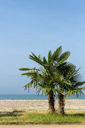 Similar image 22578734