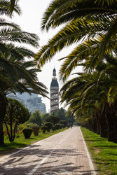 Similar image 22578735