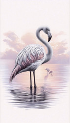 Similar image 22522245