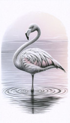 Similar image 22523474