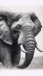 Similar image 22525150