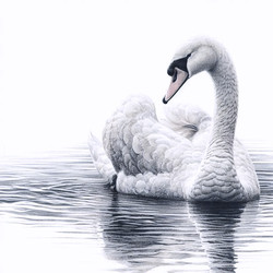 Similar image 22552530