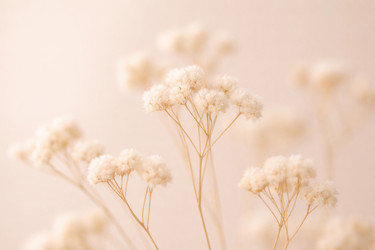 Similar image 22478530