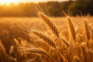 Similar image 22478533