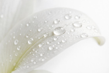 Similar image 22479984