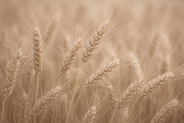 Similar image 22480013