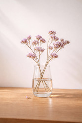 Similar image 22480016