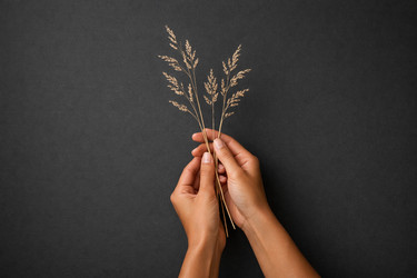 Similar image 22480017