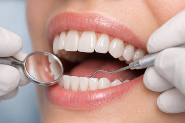 Similar image 22480030