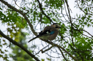 Similar image 22578727