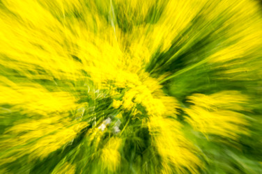 Similar image 22578741